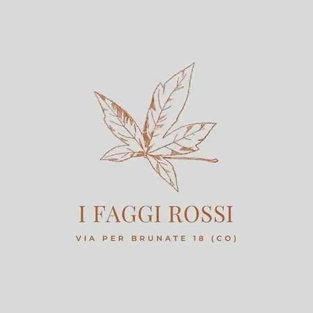 I Faggi Rossi - Red Beech Trees *