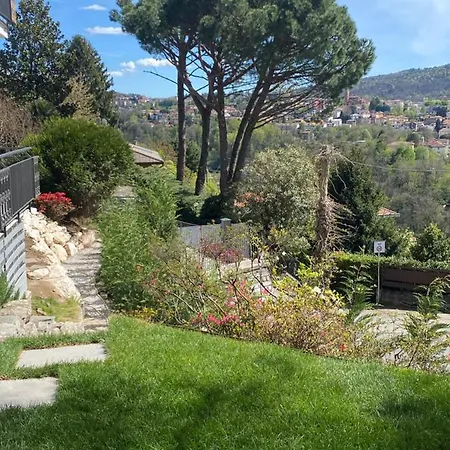 I Faggi Rossi - Red Beech Trees * Como