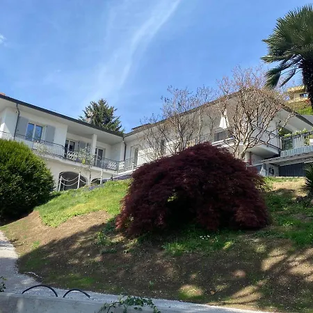 I Faggi Rossi - Red Beech Trees Como