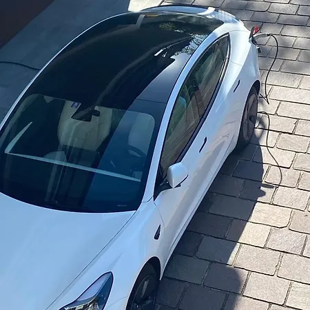 I Faggi Rossi - Red Beech Trees