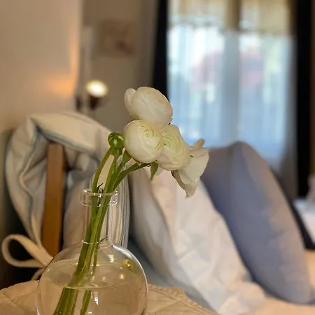 I Faggi Rossi - Red Beech Trees Nyaraló *