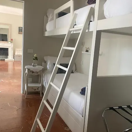 I Faggi Rossi - Red Beech Trees *