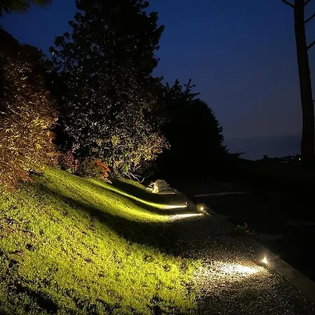 I Faggi Rossi - Red Beech Trees * Como