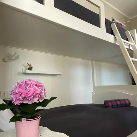 Nyaraló I Faggi Rossi - Red Beech Trees *