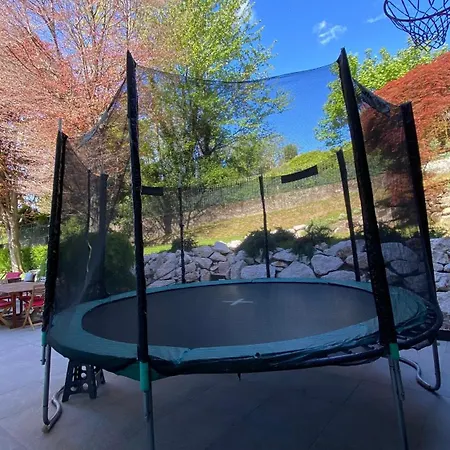 I Faggi Rossi - Red Beech Trees