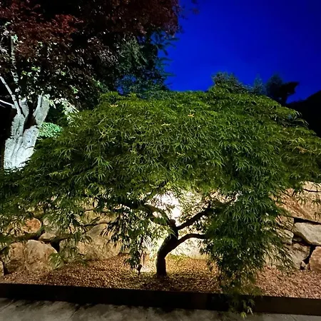 Semesterbostad I Faggi Rossi - Red Beech Trees Como