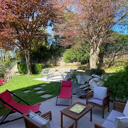 I Faggi Rossi - Red Beech Trees