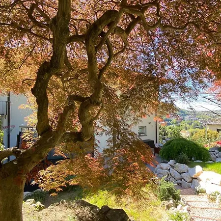 Semesterbostad I Faggi Rossi - Red Beech Trees Como