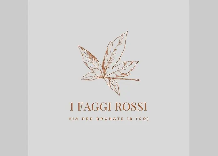 I Faggi Rossi - Red Beech Trees *