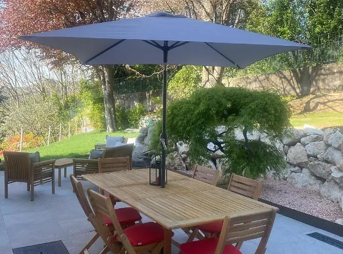 I Faggi Rossi - Red Beech Trees *