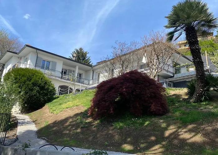 I Faggi Rossi - Red Beech Trees Côme