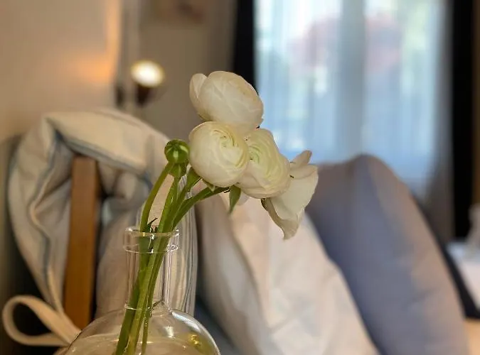 I Faggi Rossi - Red Beech Trees Casa vacanze *