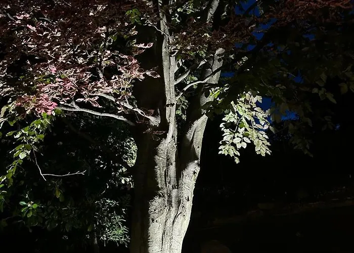 Casa vacanze I Faggi Rossi - Red Beech Trees Côme