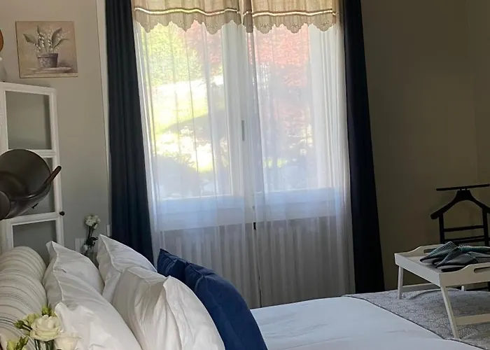 I Faggi Rossi - Red Beech Trees Côme