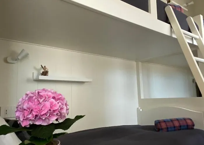 Prázdninový dům I Faggi Rossi - Red Beech Trees *