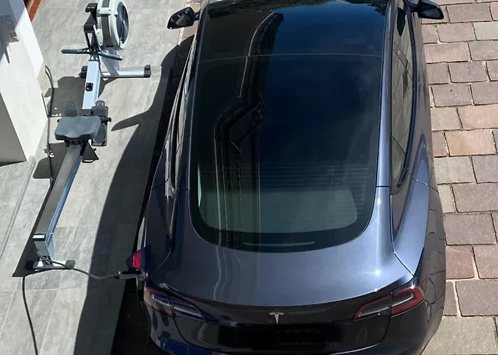 I Faggi Rossi - Red Beech Trees *