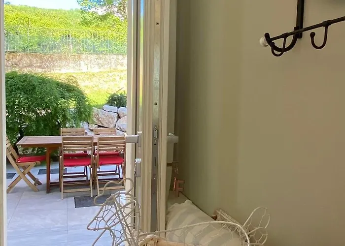 I Faggi Rossi - Red Beech Trees * Côme