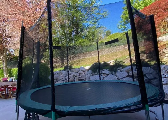 I Faggi Rossi - Red Beech Trees