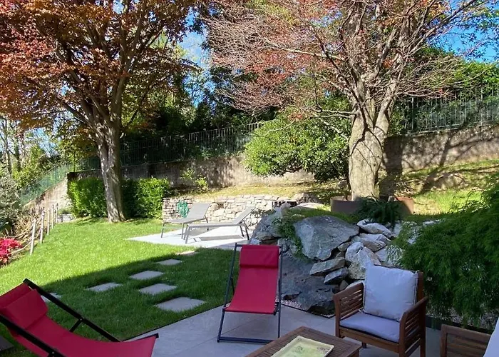 I Faggi Rossi - Red Beech Trees