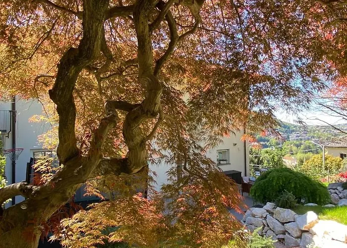 Casa vacanze I Faggi Rossi - Red Beech Trees Côme