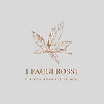 I Faggi Rossi - Red Beech Trees *