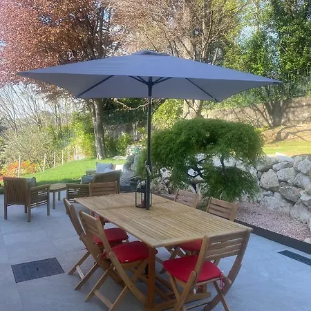 I Faggi Rossi - Red Beech Trees *