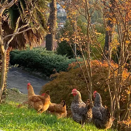 I Faggi Rossi - Red Beech Trees Prázdninový dům Como