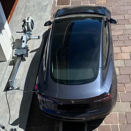 I Faggi Rossi - Red Beech Trees *